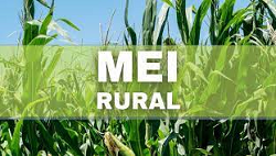 https://itcnet.com.br/biblioteca/2022/ir/mei_rural_250x142.png